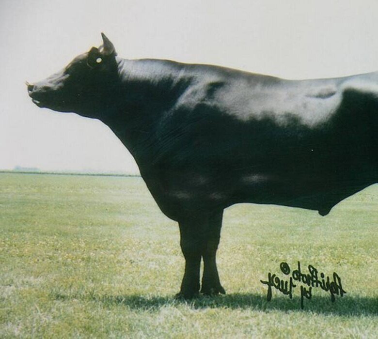 Kenhanafuji